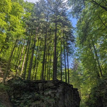 Náhled příspěvku