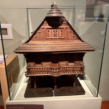 Náhled příspěvku