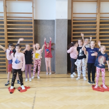 Náhled příspěvku