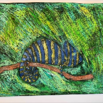 Náhled příspěvku