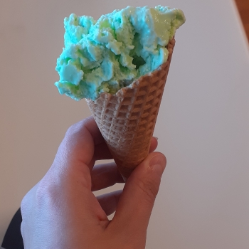 Náhled příspěvku